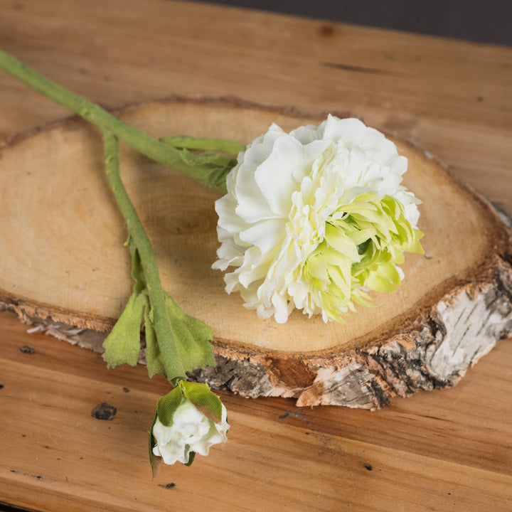 Green Ranunculus Spray - Reposing