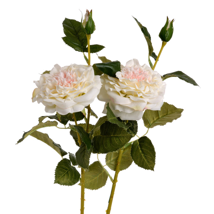 White Garden Rose Spray - Reposing