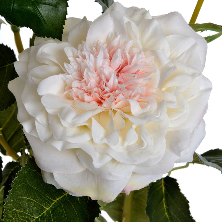 White Garden Rose Spray - Reposing