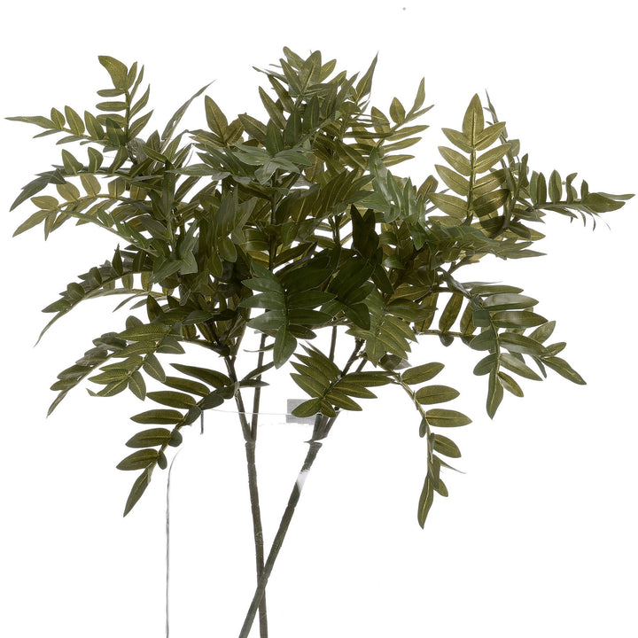 Pistach Bunch - Reposing