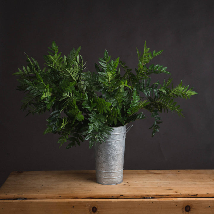 Pistach Bunch - Reposing