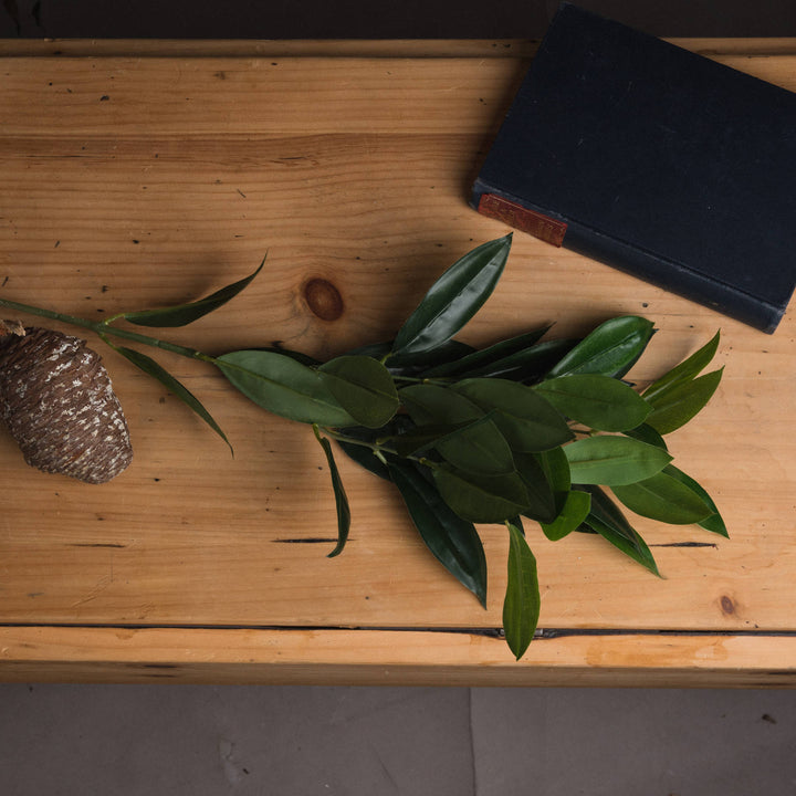 Faux Bay Leaf Spray - Reposing