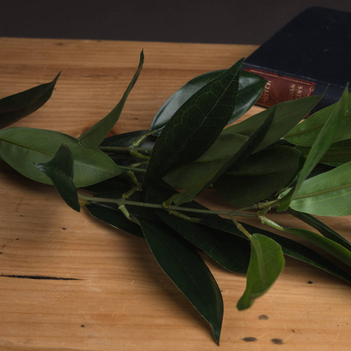Faux Bay Leaf Spray - Reposing