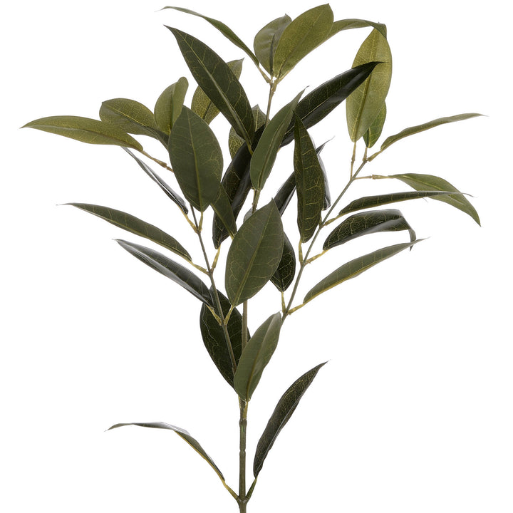 Faux Bay Leaf Spray - Reposing