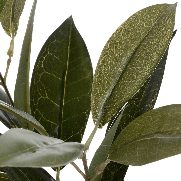 Faux Bay Leaf Spray - Reposing