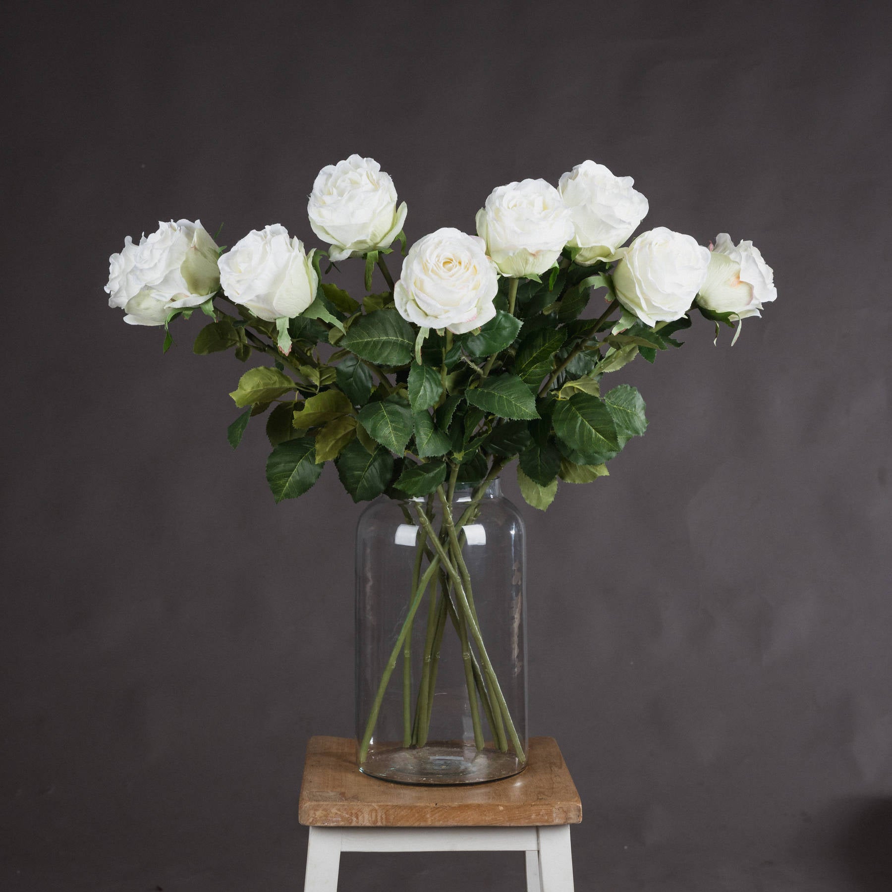 Reposing V Traditional White Rose