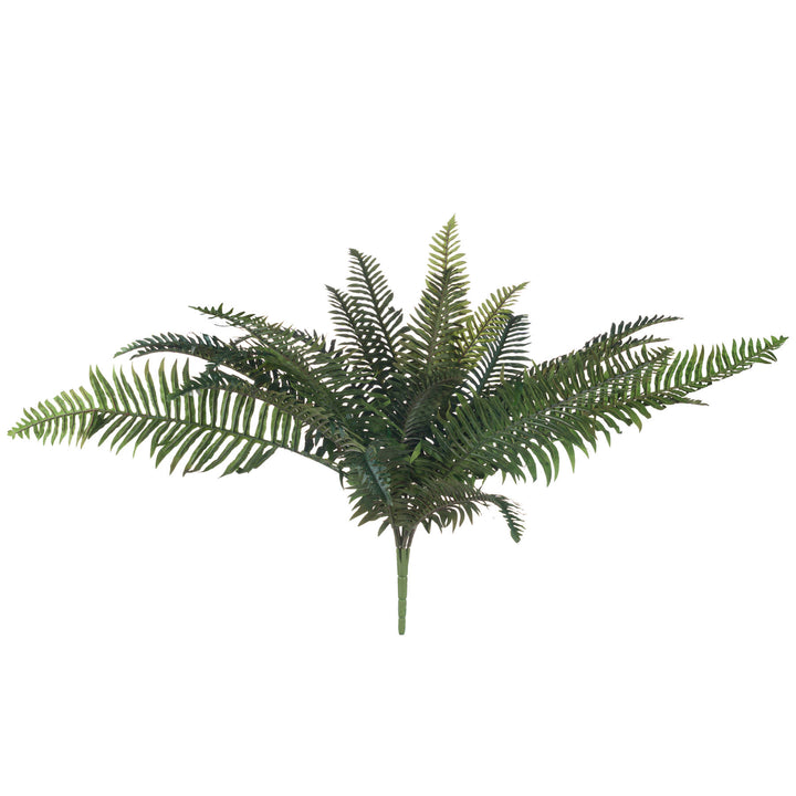 Fern Bunch - Reposing