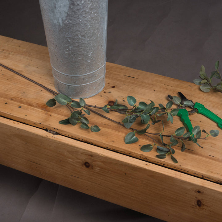 Tall Eucalyptus Stem - Reposing