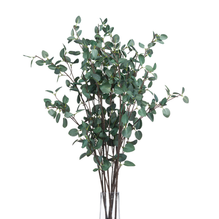 Tall Eucalyptus Stem - Reposing
