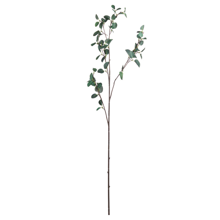 Tall Eucalyptus Stem - Reposing