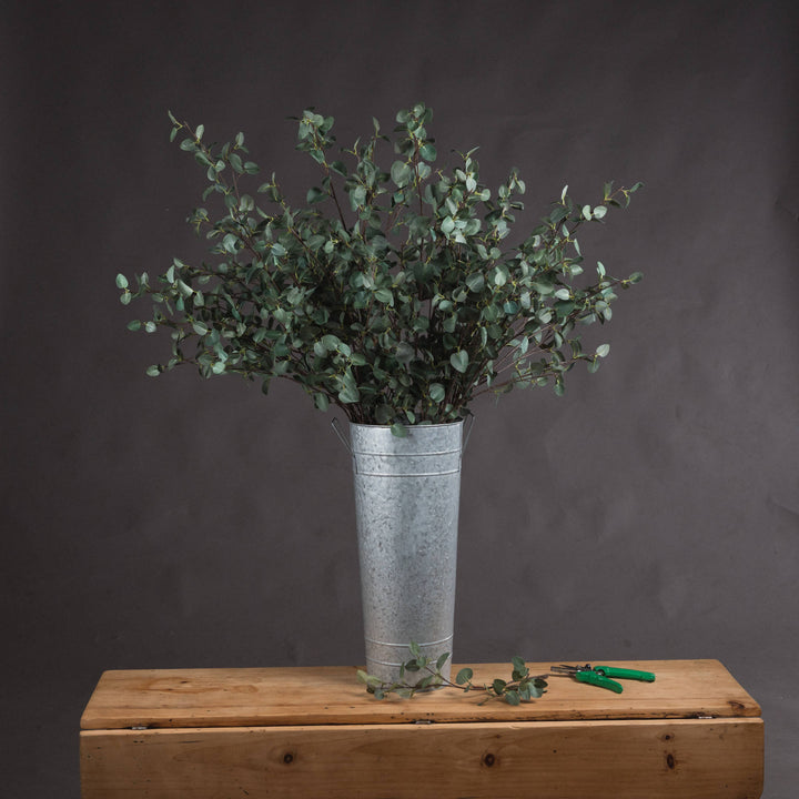 Tall Eucalyptus Stem - Reposing