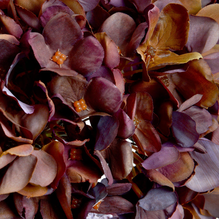 Autumn Coffee Hydrangea - Reposing