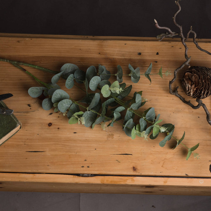 Eucalyptus Spray - Reposing