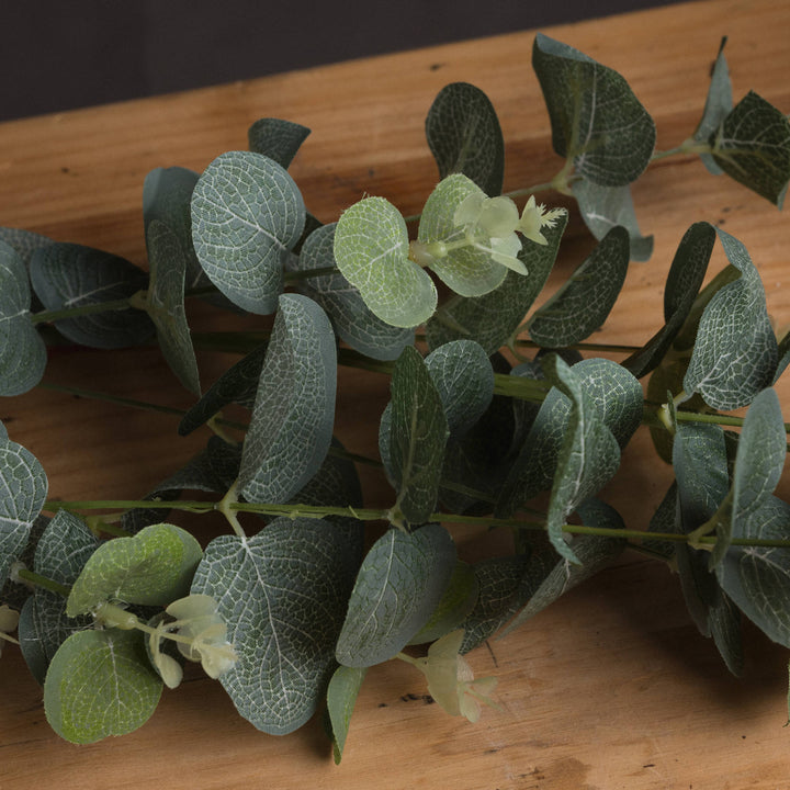 Eucalyptus Spray - Reposing