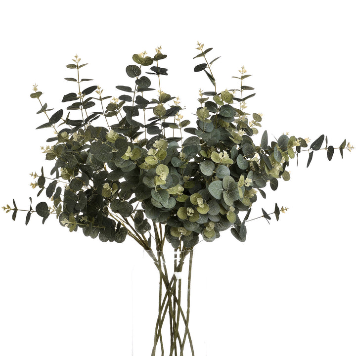 Eucalyptus Spray - Reposing