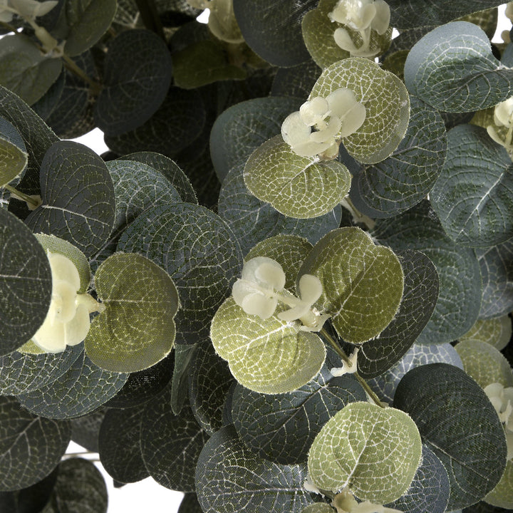 Eucalyptus Spray - Reposing