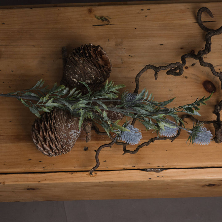 Eryngium Blue Thistle - Reposing
