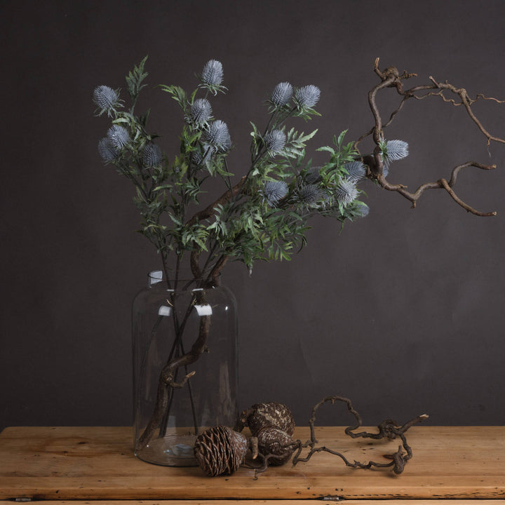 Eryngium Blue Thistle - Reposing