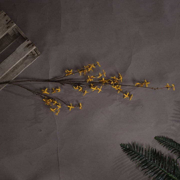 Forsythia - Reposing