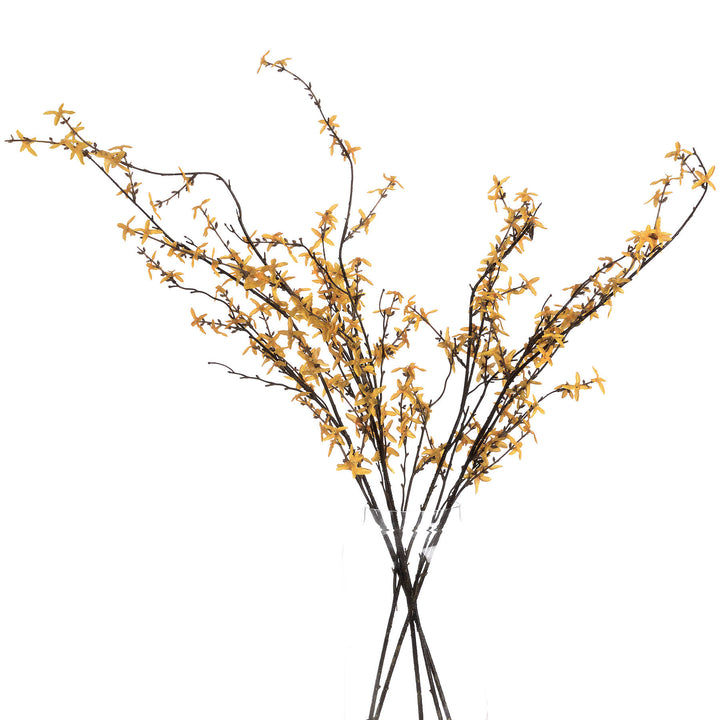Forsythia - Reposing