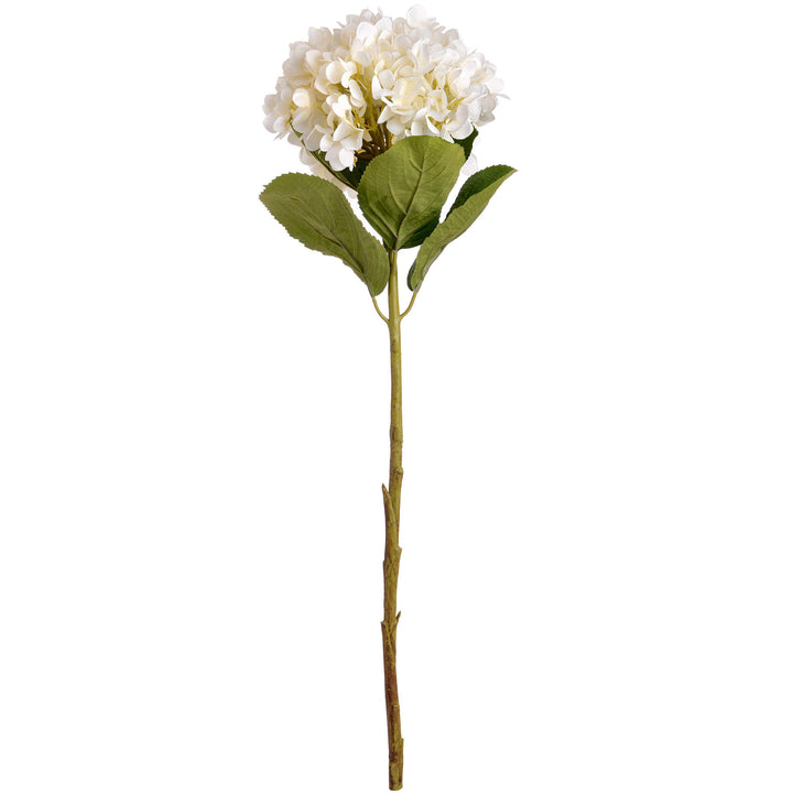 Oversized White Hydrangea - Reposing