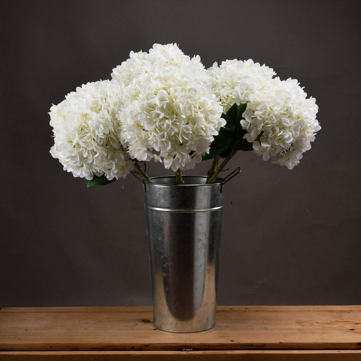 Oversized White Hydrangea - Reposing