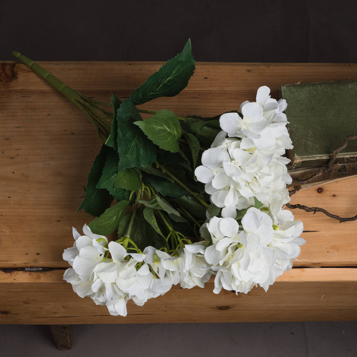 White Hydrangea Bouquet - Reposing