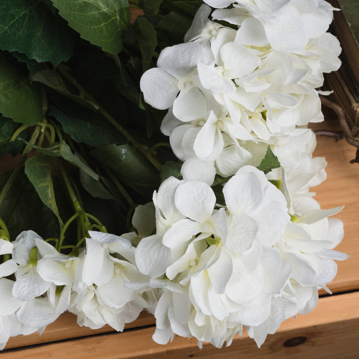 White Hydrangea Bouquet - Reposing