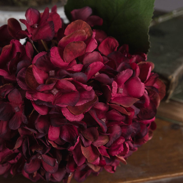 Autumn Ruby Hydrangea - Reposing