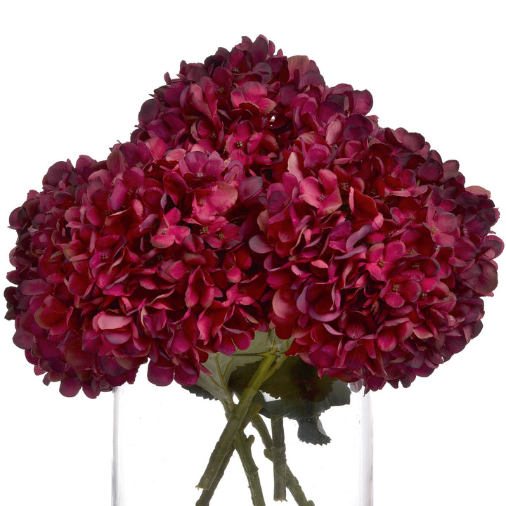 Autumn Ruby Hydrangea - Reposing