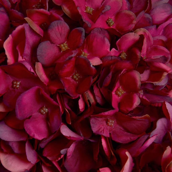 Autumn Ruby Hydrangea - Reposing