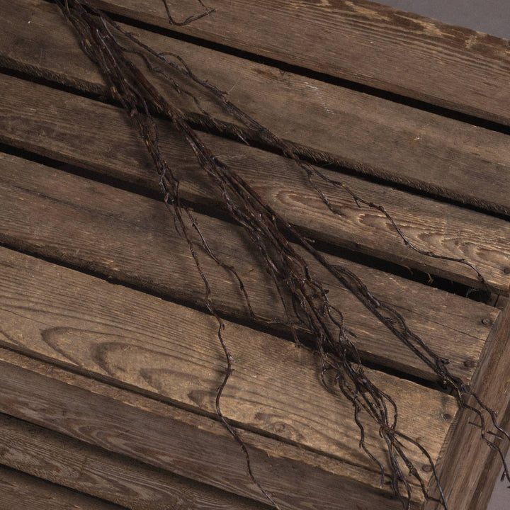 Branch Spray - Reposing