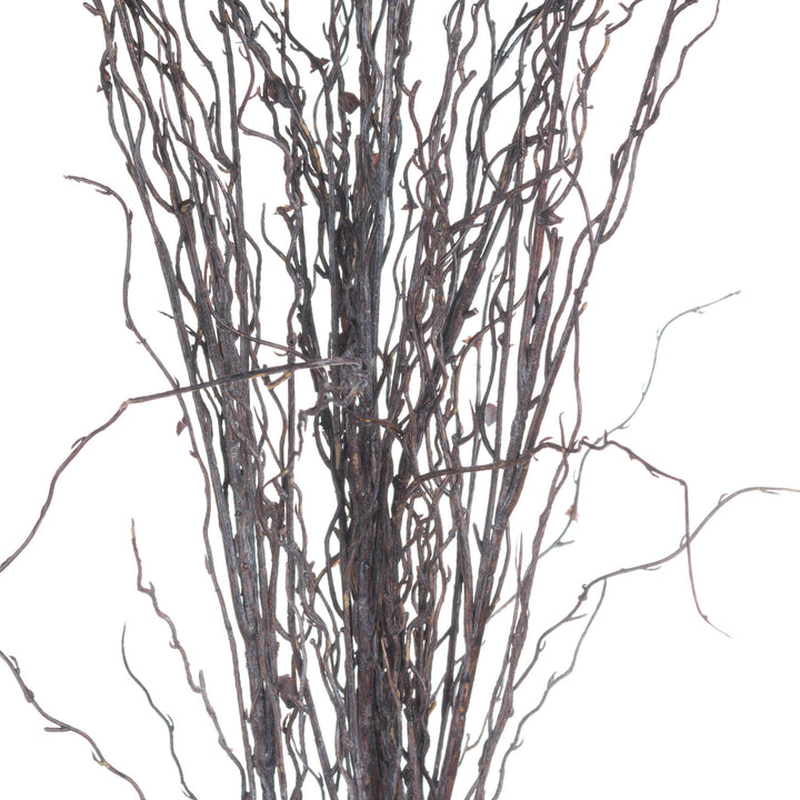 Branch Spray - Reposing