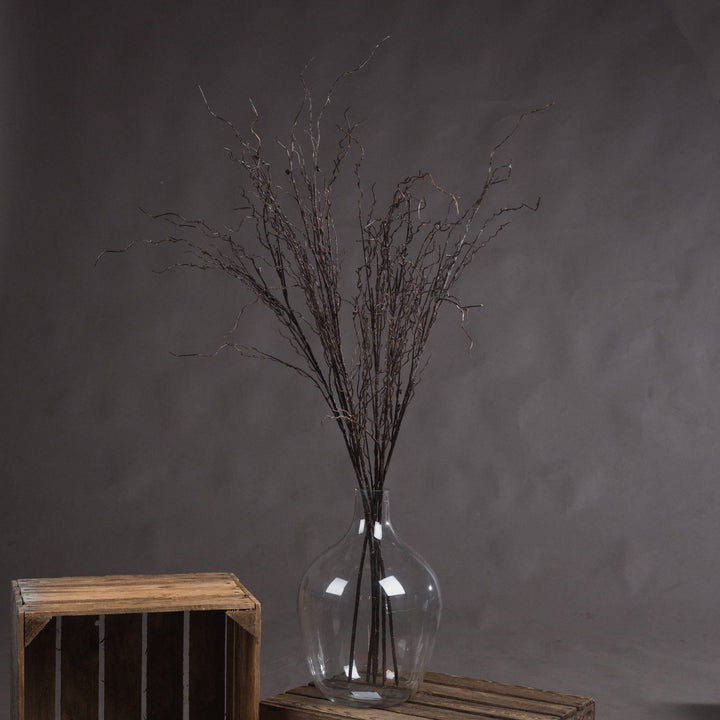 Branch Spray - Reposing