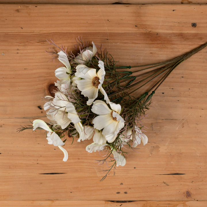 Cream Cosmos Spray - Reposing