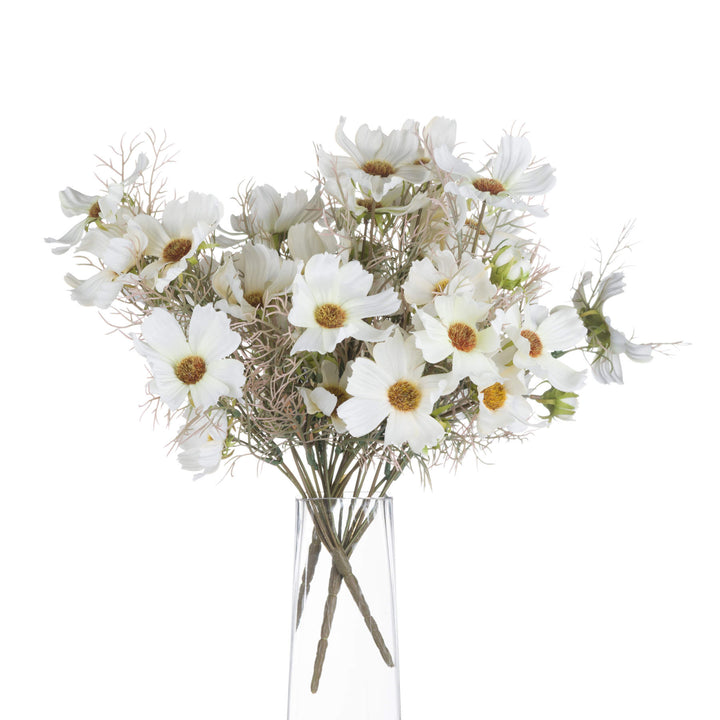 Cream Cosmos Spray - Reposing