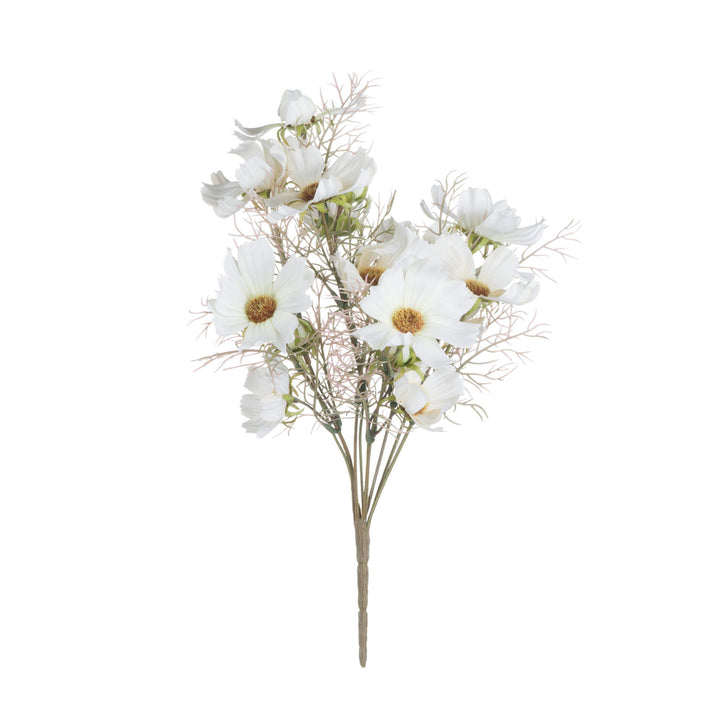Cream Cosmos Spray - Reposing