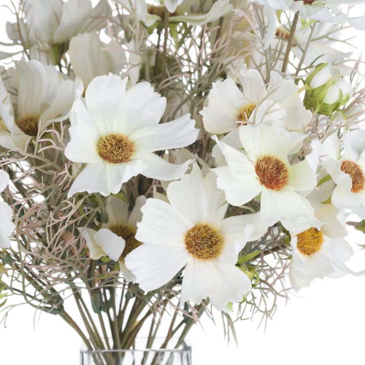 Cream Cosmos Spray - Reposing