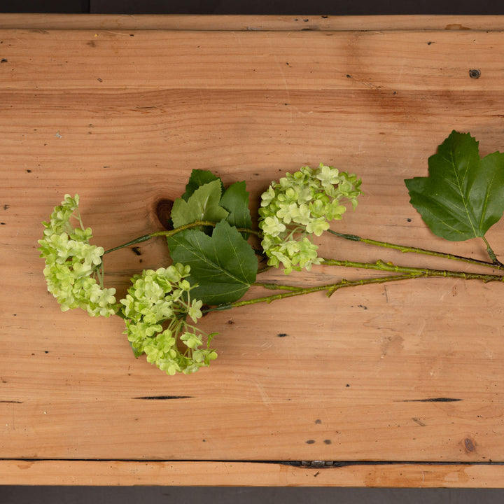 Green Viburnum Spray - Reposing