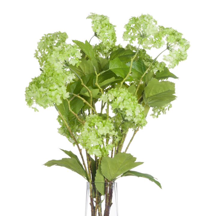 Green Viburnum Spray - Reposing