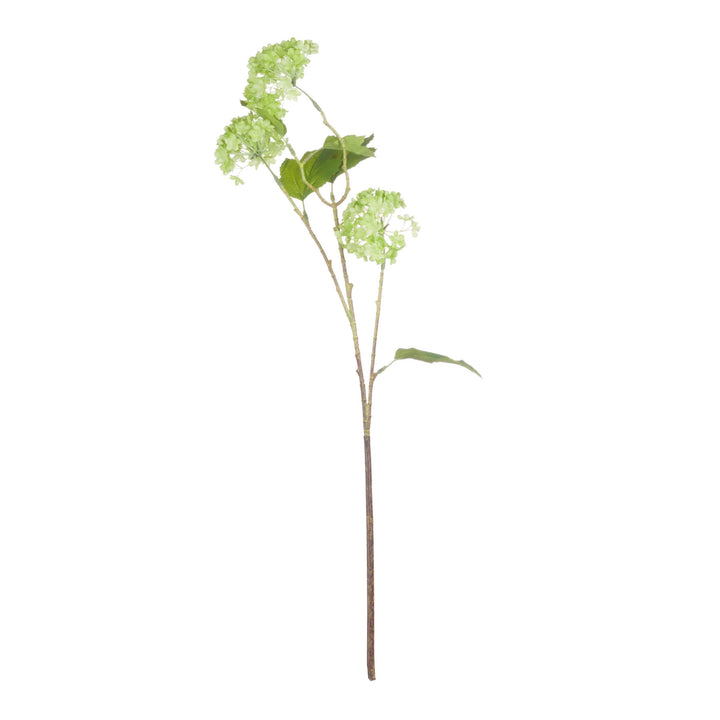 Green Viburnum Spray - Reposing