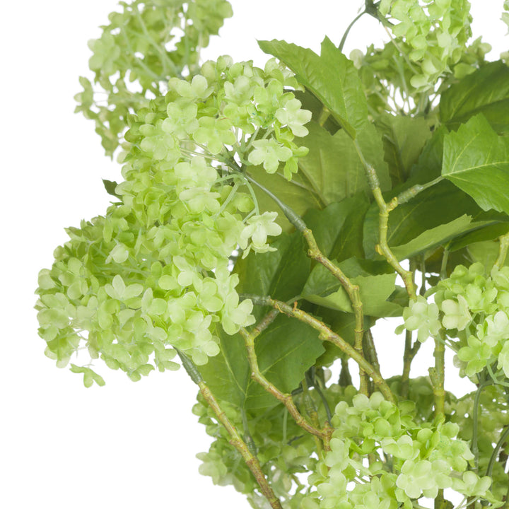 Green Viburnum Spray - Reposing