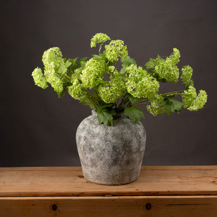 Green Viburnum Spray - Reposing