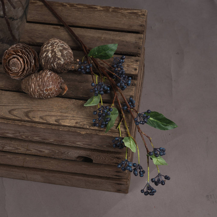 Viburnum Berry - Reposing
