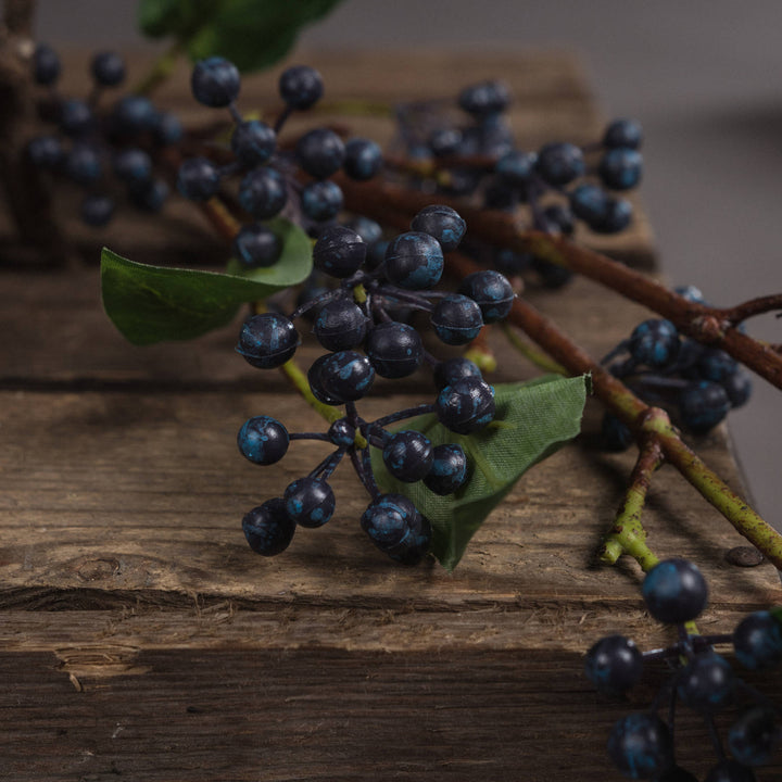 Viburnum Berry - Reposing