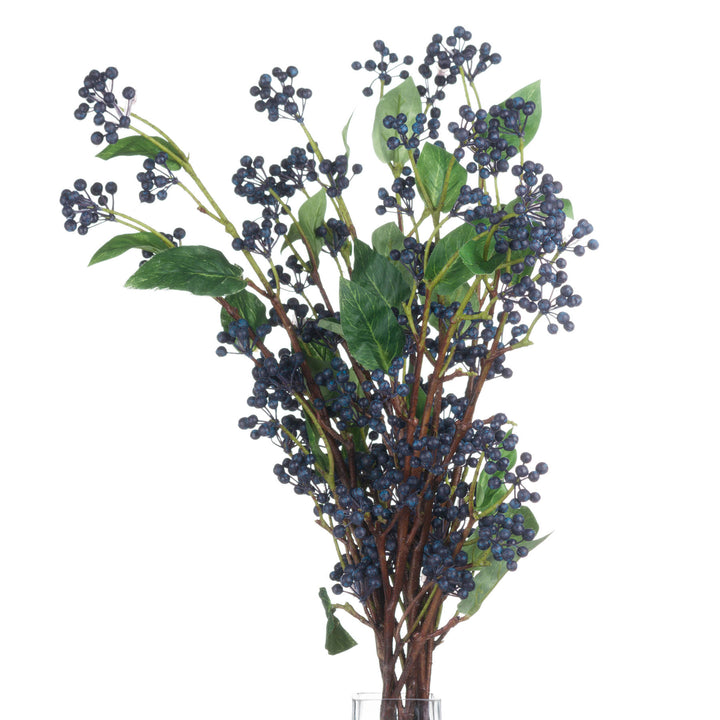 Viburnum Berry - Reposing