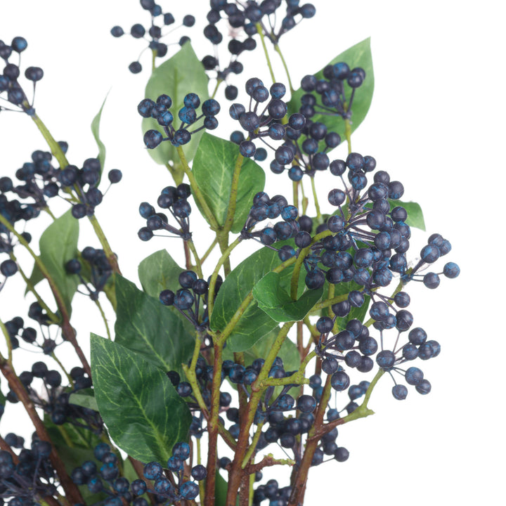 Viburnum Berry - Reposing