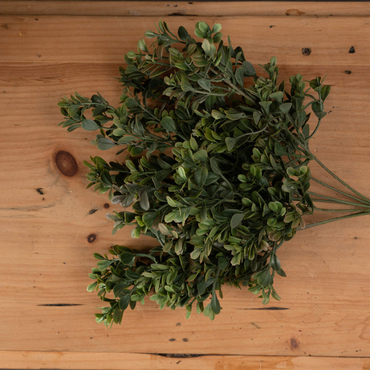 Red Tipped Leaf Spray - Reposing