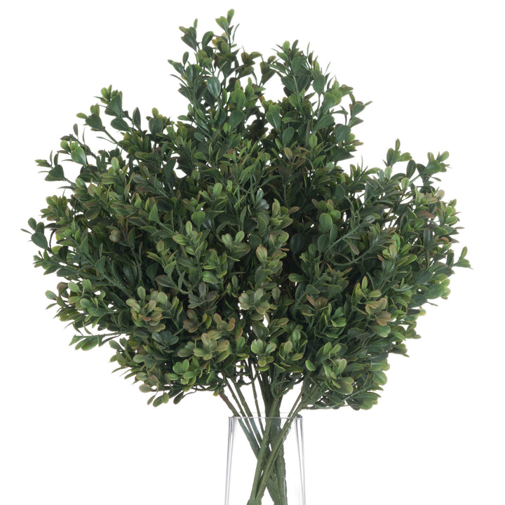 Red Tipped Leaf Spray - Reposing
