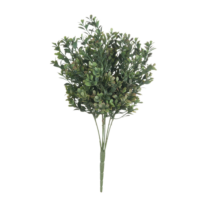 Red Tipped Leaf Spray - Reposing